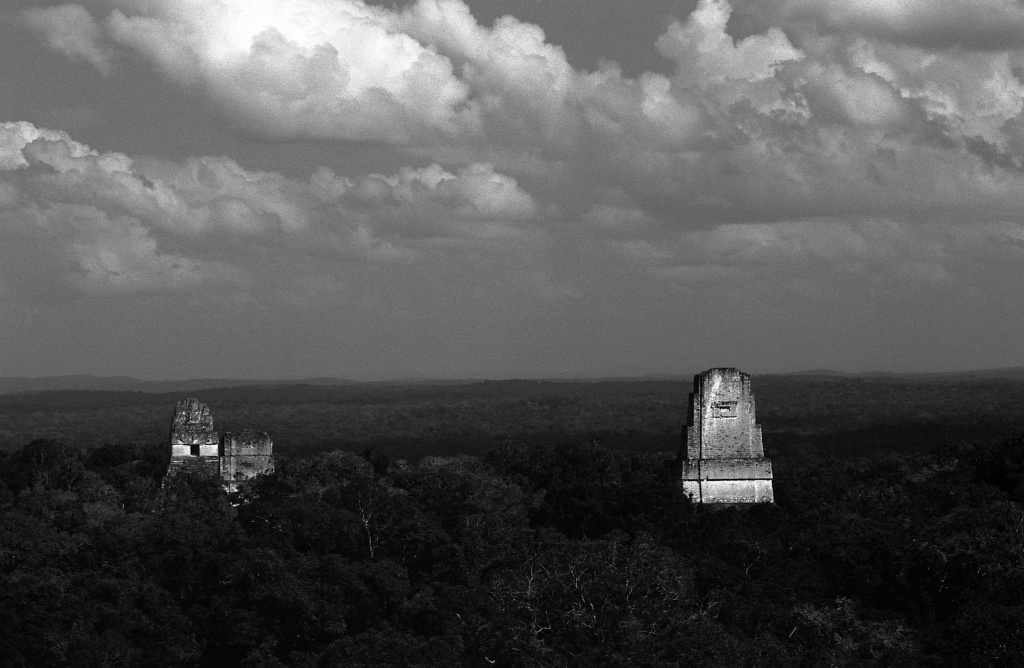 Tikal from temple IV