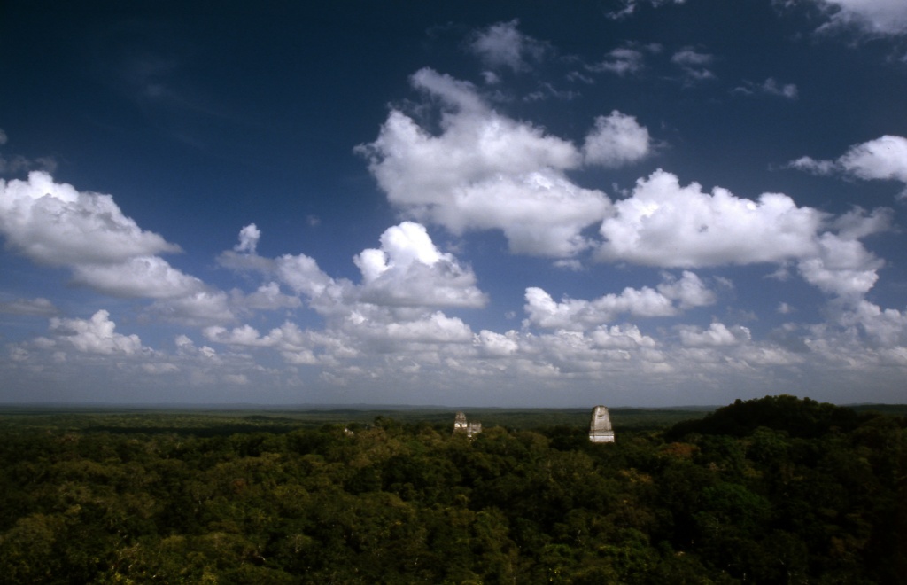 Tikal from temple IV - 2