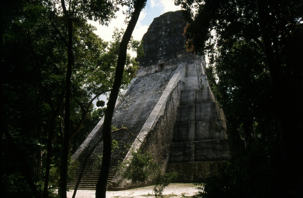 Pyramid V in the jungle