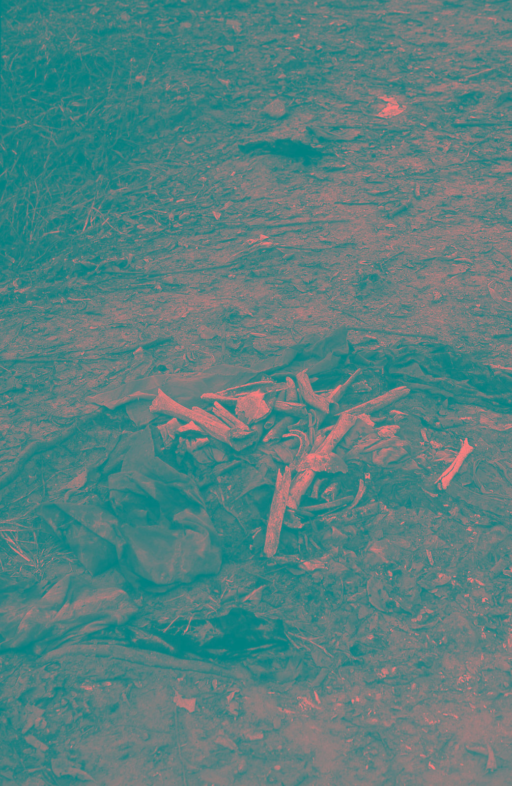 Killing Fields, Choeung Ek