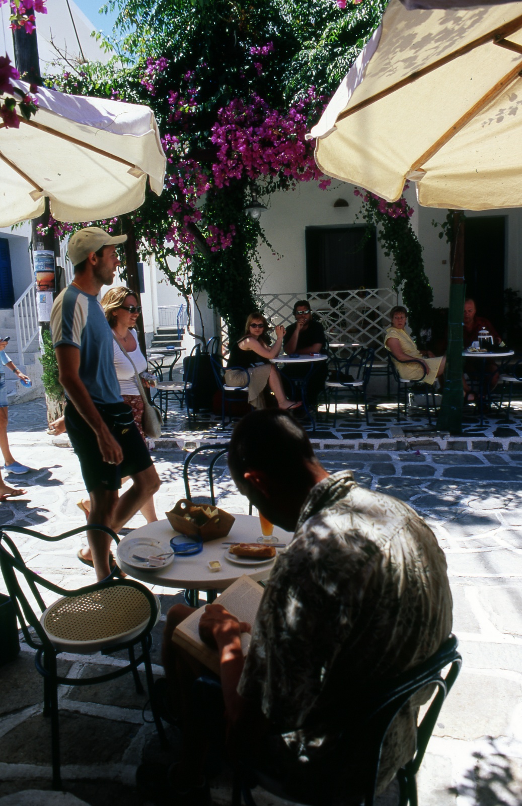 Ant;iparos, time for breakfast